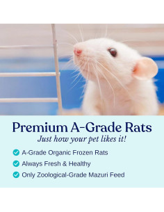 Ratas Pups Congeladas MiceDirect para Serpientes - Paquete de 15 2