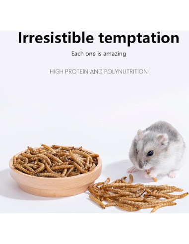 Snack Natural para Hámsters Niteangel - Gusanos Secos 28g