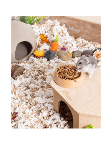 Snack Natural para Hámsters Niteangel - Gusanos Secos 28g