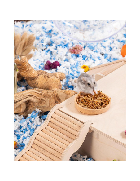 Snack Natural para Hámsters Niteangel - Gusanos Secos 28g