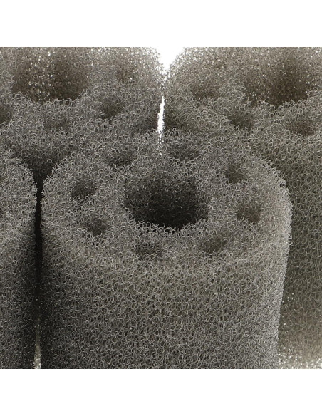 5 Piezas Cepillo de Limpieza para Tuercas de Rueda FUNOMOCYA