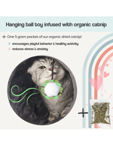 Túnel para Gatos Grandes - Cama Donut Esponjosa El Parque de los Gatos