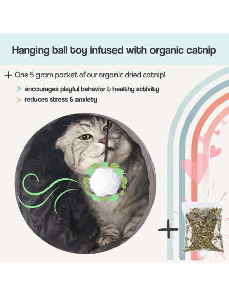 Túnel para Gatos Grandes - Cama Donut Esponjosa El Parque de los Gatos