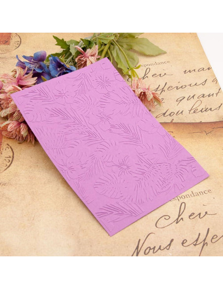 5 Carpetas de Embossing Plástico QSZKeer 12.7x17.8cm DIY