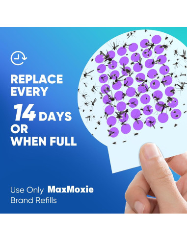 Recargas Trampa Insectos MaxMoxie 10 Tableros Adhesivos Extra Grande