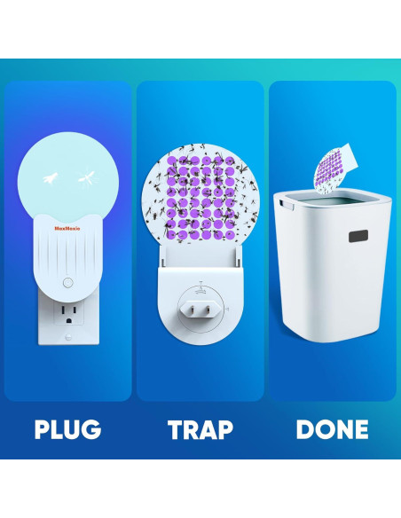 Recargas Trampa Insectos MaxMoxie 10 Tableros Adhesivos Extra Grande