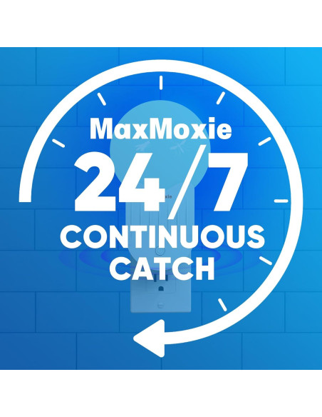 Recargas Trampa Insectos MaxMoxie 10 Tableros Adhesivos Extra Grande