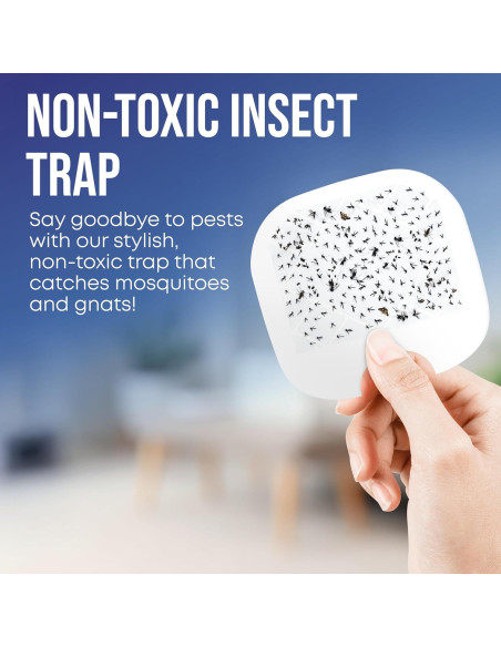 Trampa de Moscas Interior EverOne 2-Pack con 6 Adhesivos