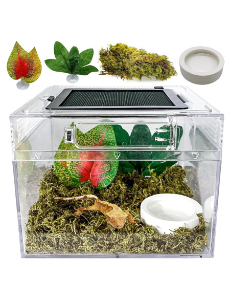 Terrario para reptiles Acsist 20.32x20.32x15.24cm con accesorios