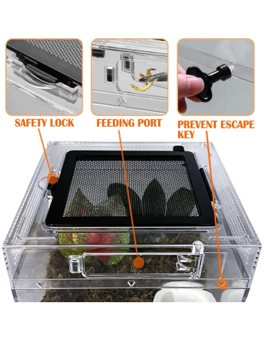 Terrario para reptiles Acsist 20.32x20.32x15.24cm con accesorios