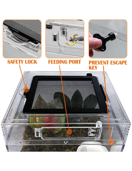 Terrario para reptiles Acsist 20.32x20.32x15.24cm con accesorios