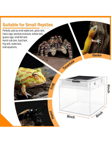 Terrario para reptiles Acsist 20.32x20.32x15.24cm con accesorios