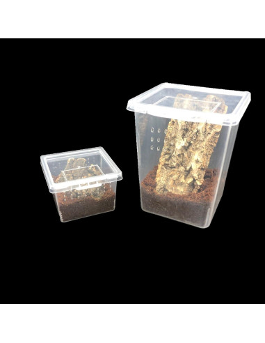 Caja de cría de insectos Micro Habitats - 4 altas y 4 pequeñas