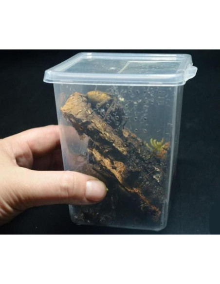 Caja de cría de insectos Micro Habitats - 4 altas y 4 pequeñas