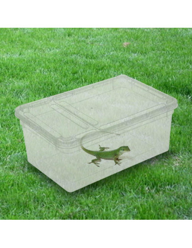 Caja de Cría para Reptiles Hypeety 19x12.5x8 cm Ventilada