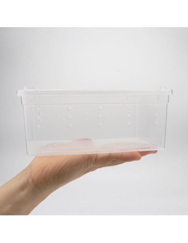 Caja de Cría para Reptiles Hypeety 19x12.5x8 cm Ventilada
