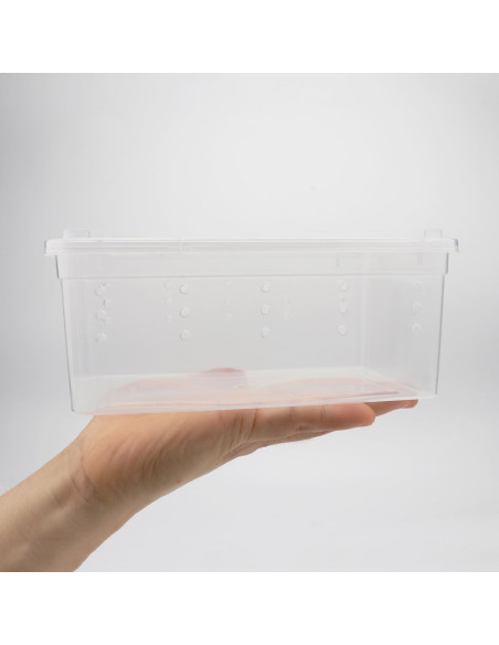 Caja de Cría para Reptiles Hypeety 19x12.5x8 cm Ventilada