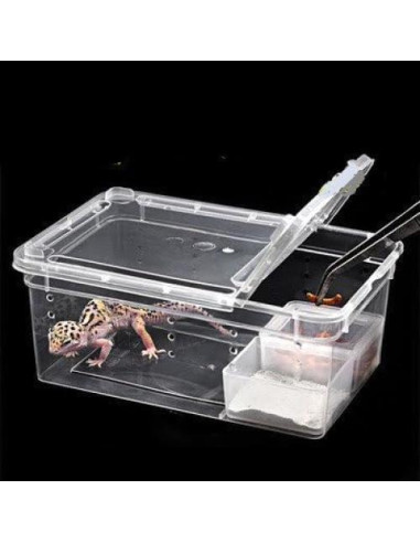 Caja de Cría para Reptiles Hypeety 19x12.5x8 cm Ventilada