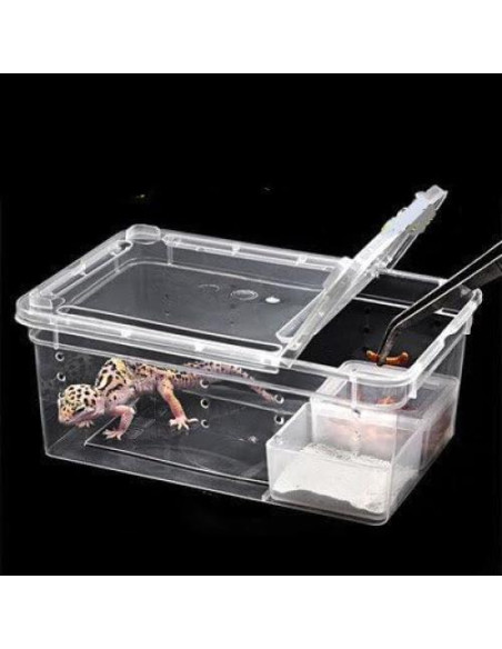 Caja de Cría para Reptiles Hypeety 19x12.5x8 cm Ventilada