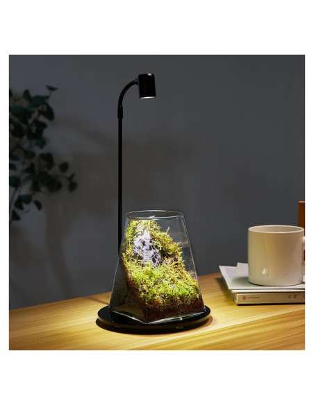 Mini Terrario de Vidrio SARUFO con Luz LED para Suculentas