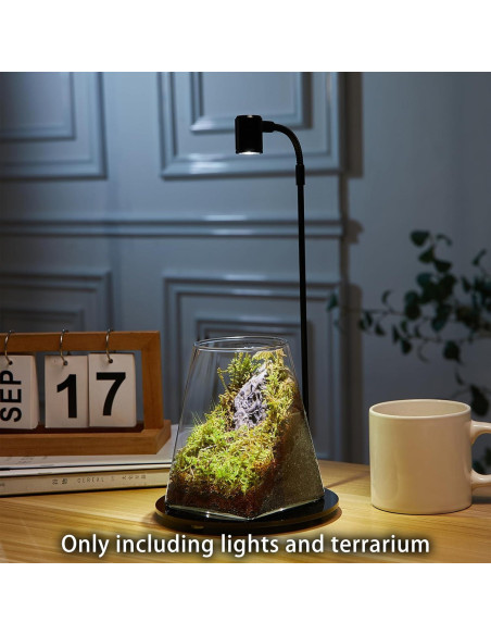 Mini Terrario de Vidrio SARUFO con Luz LED para Suculentas