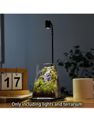 Mini Terrario de Vidrio SARUFO con Luz LED para Suculentas