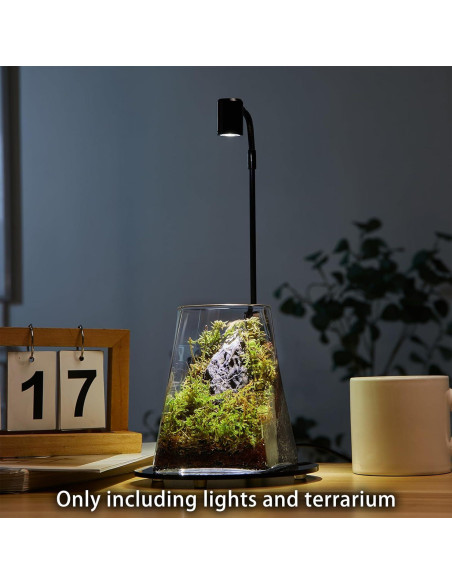 Mini Terrario de Vidrio SARUFO con Luz LED para Suculentas