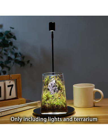Mini Terrario de Vidrio SARUFO con Luz LED para Suculentas