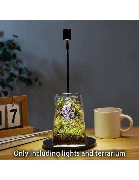Mini Terrario de Vidrio SARUFO con Luz LED para Suculentas