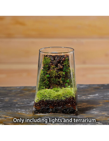 Mini Terrario de Vidrio SARUFO con Luz LED para Suculentas