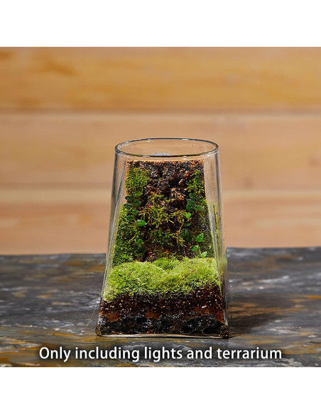 Mini Terrario de Vidrio SARUFO con Luz LED para Suculentas