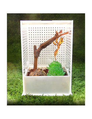 Caja de Cría de Reptiles OMEM 23x16.8x13.1cm Habitat Natural