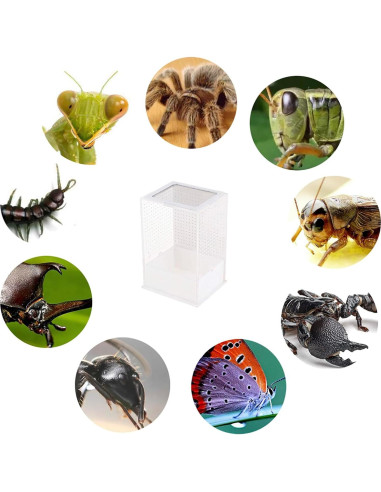 Caja de Cría de Reptiles OMEM 23x16.8x13.1cm Habitat Natural