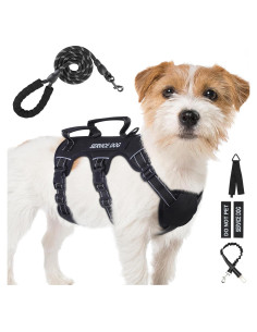 Arnés para Perros Pequeños y Medianos Yungaspy Negro Ajustable