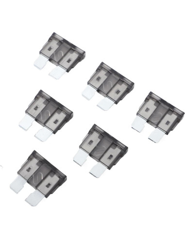 Paquete de 100 Fusibles Automáticos 2A JESUNK para Coche