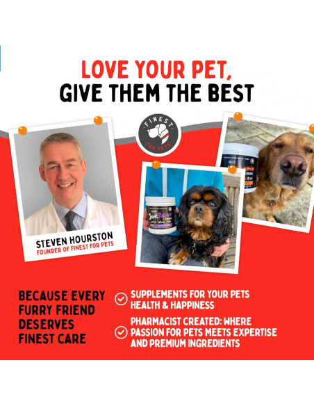 Aceite de Salmón Salvaje de Alaska 473ml para Perros y Gatos