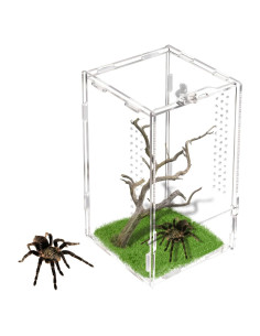 Terrario Acrílico Rislobx para Arañas Saltarinas 20.1x11.9x11.9 cm