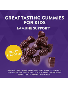 Gomas Inmunológicas Nature's Way Sambucus Kids 36 Unidades 2