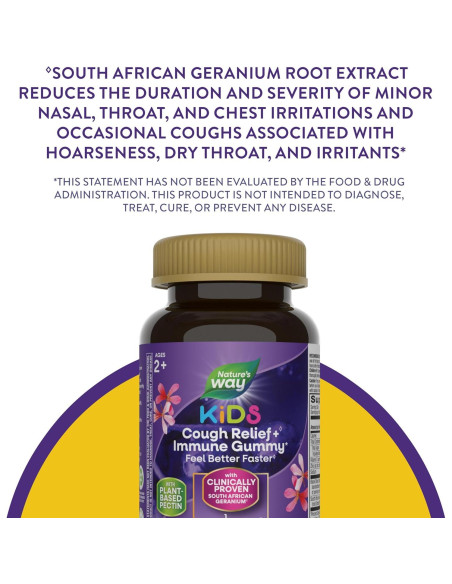 Gomas Inmunológicas Nature's Way Sambucus Kids 36 Unidades