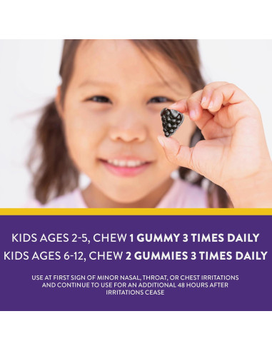 Gomas Inmunológicas Nature's Way Sambucus Kids 36 Unidades