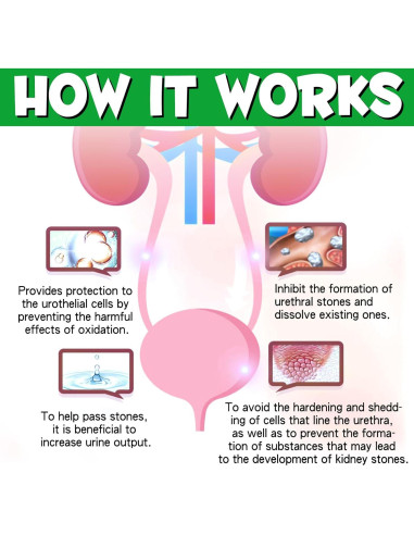 Tratamiento UTI para Perros Onznoz 59.15 ml - Salud Urinaria