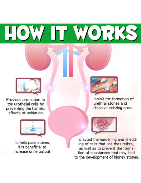 Tratamiento UTI para Perros Onznoz 59.15 ml - Salud Urinaria