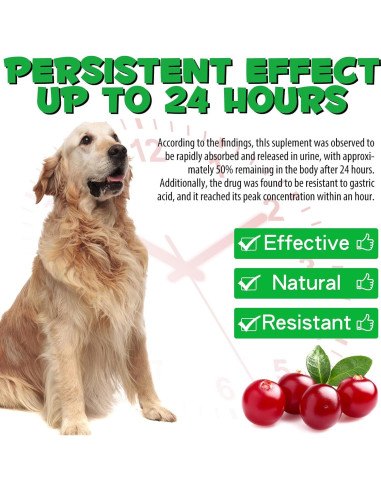 Tratamiento UTI para Perros Onznoz 59.15 ml - Salud Urinaria