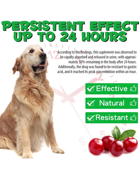 Tratamiento UTI para Perros Onznoz 59.15 ml - Salud Urinaria