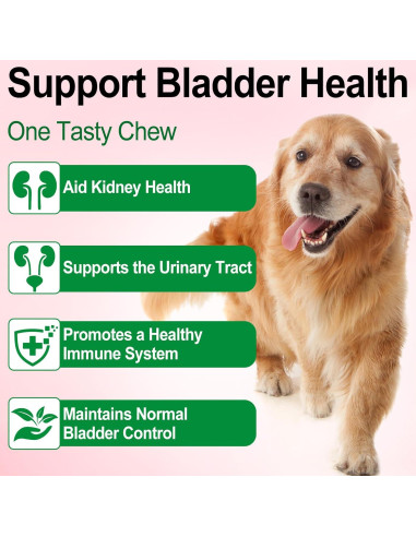 Tratamiento UTI para Perros Onznoz 59.15 ml - Salud Urinaria