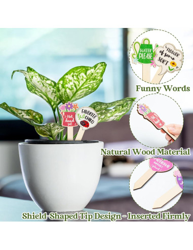 20 Etiquetas de Madera para Plantas WATINC - Jardinería