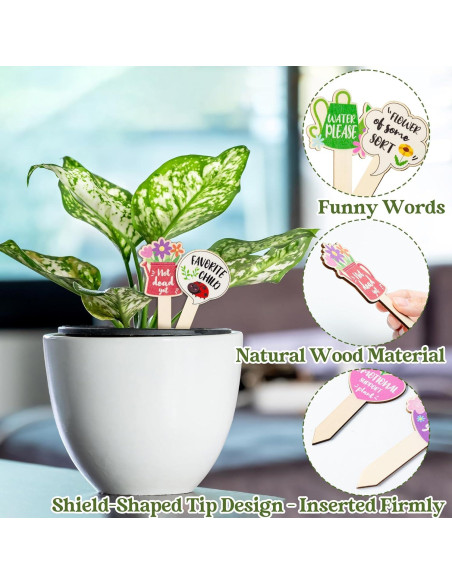 20 Etiquetas de Madera para Plantas WATINC - Jardinería