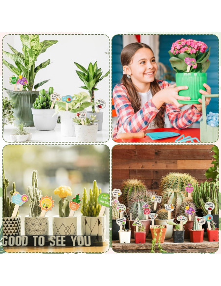 20 Etiquetas de Madera para Plantas WATINC - Jardinería