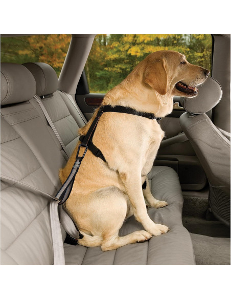 Cinturón de Seguridad para Perros Kurgo Tru-Fit Negro/Grey