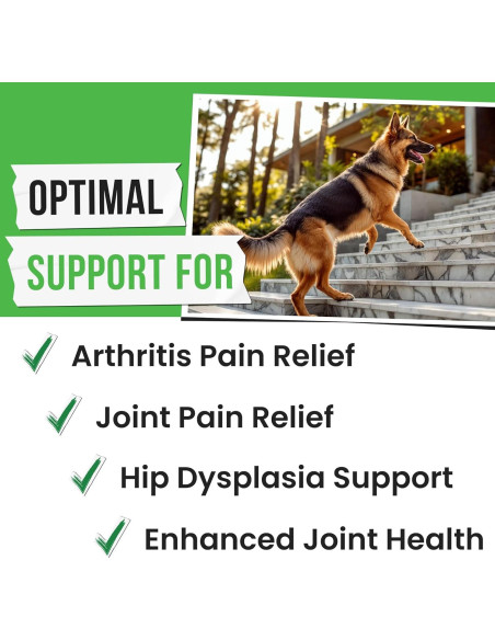 Golosinas para Perros Pawsential - Glucosamina 120 Unidades